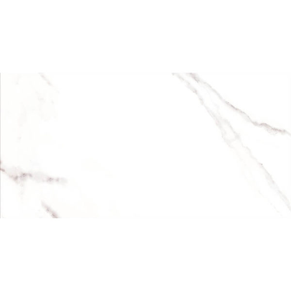 Porcelain Tile Statuario Blanco Swatch