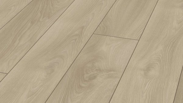 German Kronotex Mammut Laminate Makro Oak Light Wood Laminate Swatch