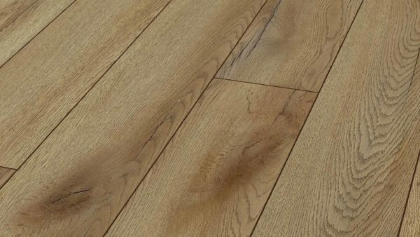 German Kronotex Mammut Laminate Matterhorn Oak Bronze Wood Laminate Swatch