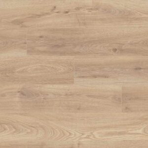 Biscotti Oak